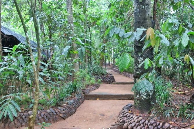 Shore Excursions Colombo Port Passenger Terminal to Kandy By Car. - Practicalities and Considerations