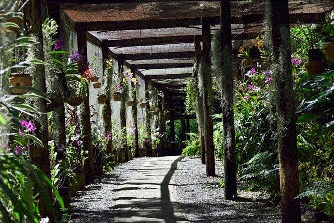 Shore Excursions - "Historical and Cultural Tour" of Nadi with Lunch Stop - The Itinerary in Detail