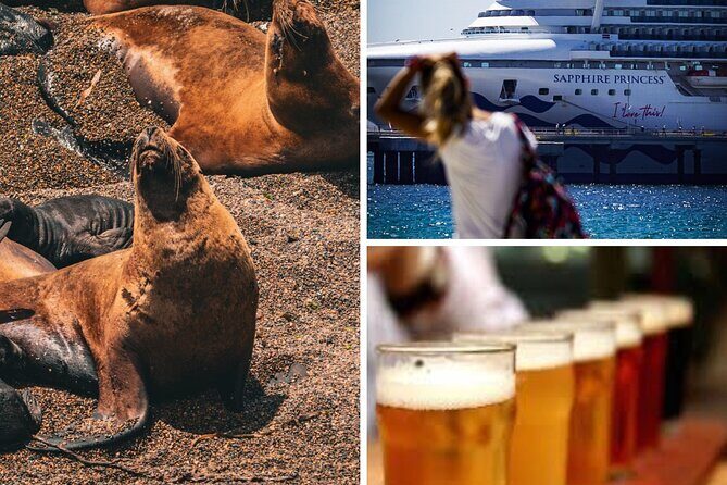 Shore Tour Punta Loma with craft beer tasting - Discover the Charm of Puerto Madryn with the Shore Tour Punta Loma and Craft Beer Tasting