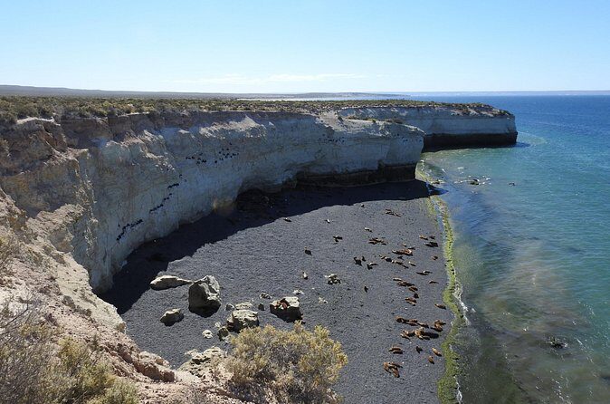 Shore Tour Punta Loma with craft beer tasting - The Sum Up