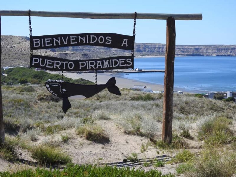 Shore Tours Peninsula Valdes Puerto Madryn Cruise Passengers - A Deep Dive into the Valdes Peninsula Tour Experience