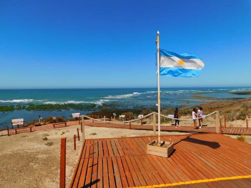 Shore Tours Peninsula Valdes Puerto Madryn Cruise Passengers - Who Will Love This Tour?