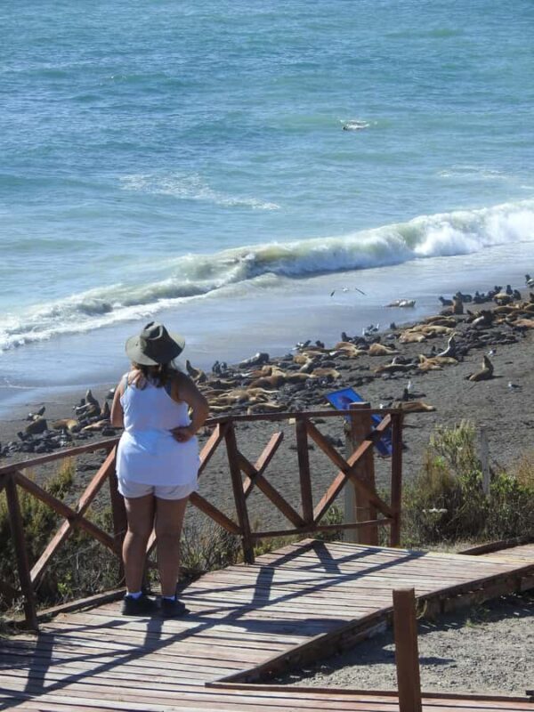 Shore Tours Peninsula Valdes Puerto Madryn Cruise Passengers - FAQ