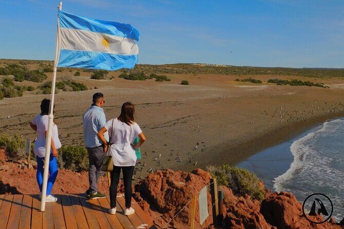 Shore Tours Punta Tombo Cruise Ship Passengers Puerto Madryn - Key Points