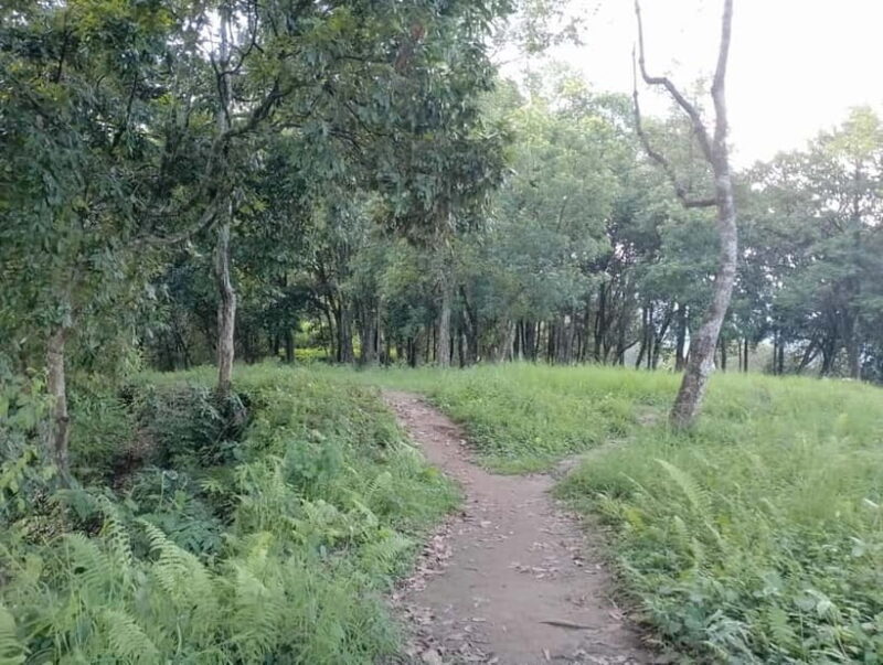 Short and Sweet: 3-Hour Hike with Views from Pokhara - Why Choose This Hike?