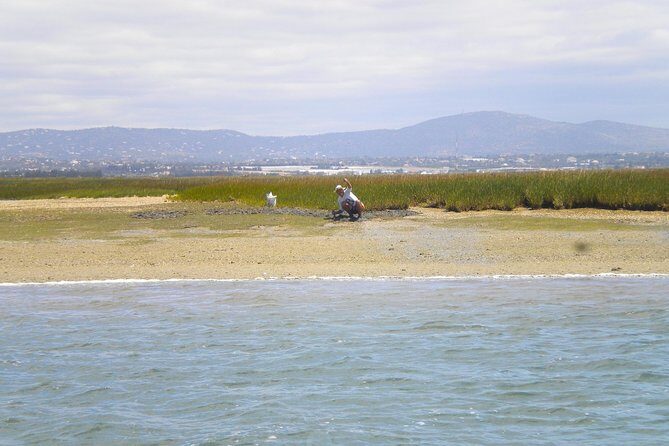 Short boat trip of the Algarve's Ria Formosa lagoon from Faro: 1 hour - The Sum Up