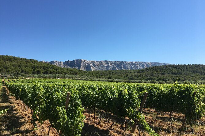 Short Day Tour around Aix en Provence and Wine Tasting - Key Points
