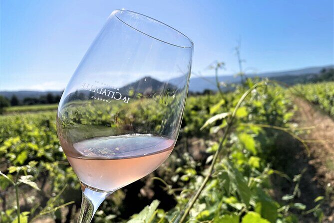 Short Day Tour around Aix en Provence and Wine Tasting - The Practical Side: What You Need to Know