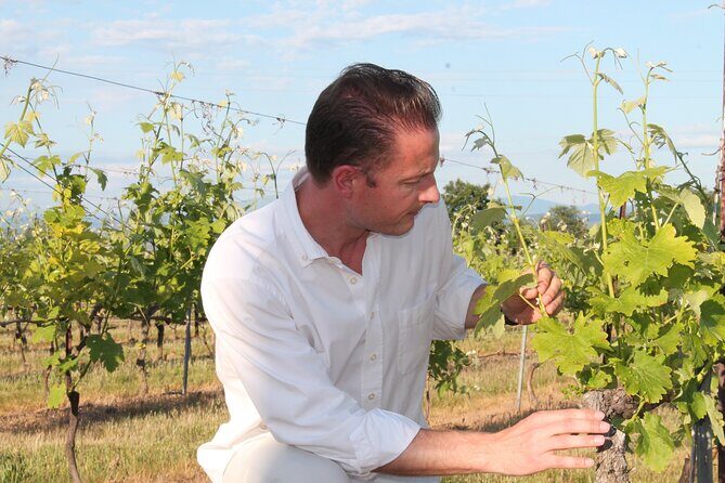 Short Day Tour around Aix en Provence and Wine Tasting - Who’s This Tour Best For?