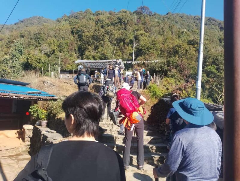 Short Day Trek: Pothana & Australian Camp from Pokhara - Key Points