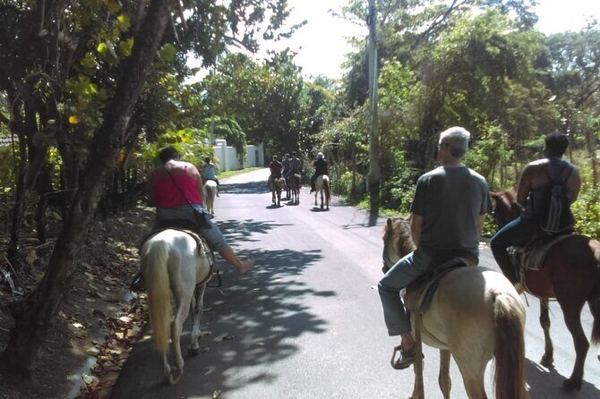 Short Excursion horseback riding tours on the beach and mountain - Final Thoughts