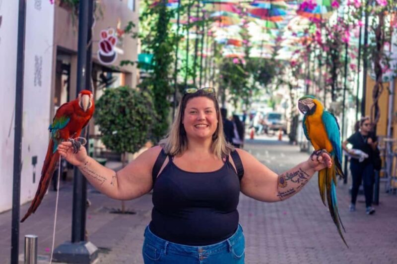 Short Excursions City Tour and 27 Waterfall Damajagua - An In-Depth Look at the Tours Highlights