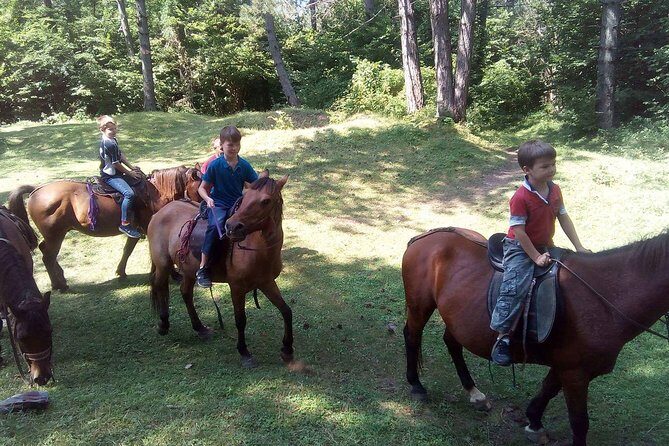 Short Horseback riding - Kolasin - Price and Value
