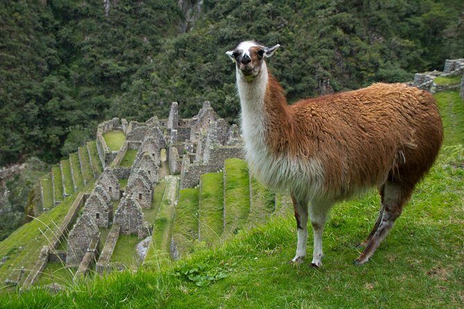 Short Inca Trail to Machu Picchu 2 Days/1 Night - Final Thoughts: Is It Worth It?