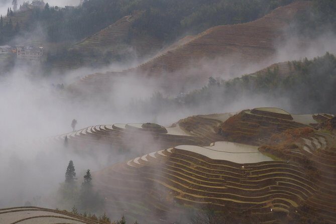 Short Li-River cruise and Longji Rice Terraces Private Day Tour - Key Points