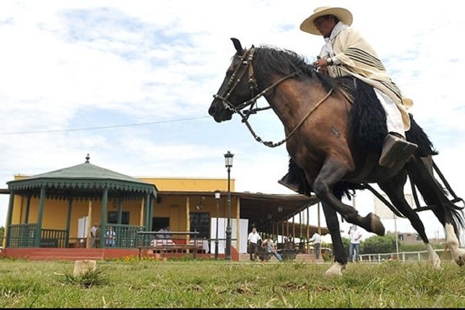 Show of Peruvian Paso Horse & Marinera with lunch - Key Points