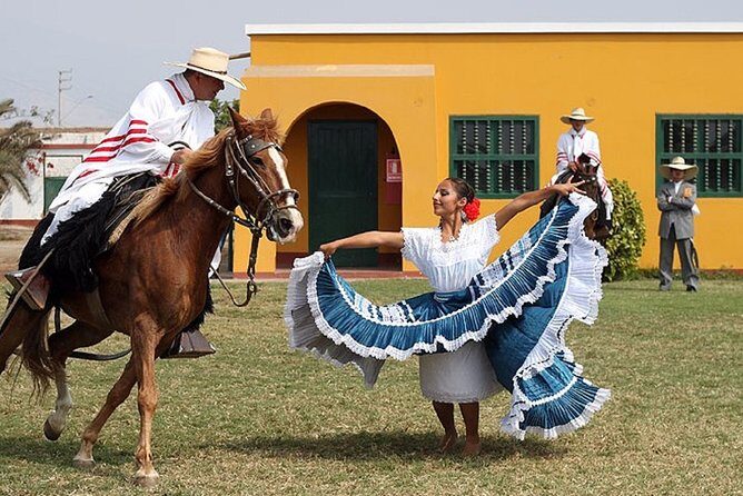 Show of Peruvian Paso Horse & Marinera with lunch - An In-Depth Look at the Tour Experience