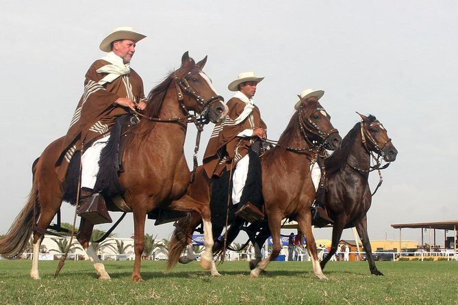 Show of Peruvian Paso Horse & Marinera with lunch - Authenticity and Value