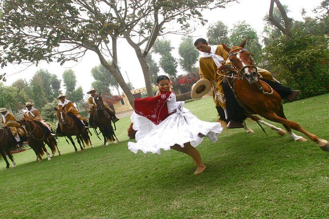Show of Peruvian Paso Horse & Marinera with lunch - FAQs