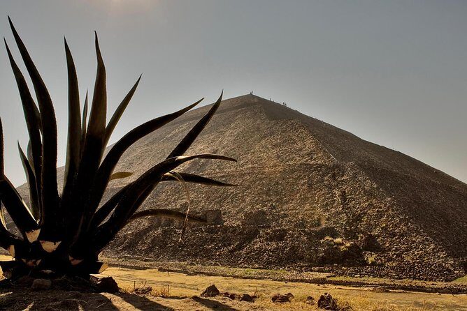 Shrine of Guadalupe and Teotihuacan Private & Small groups - In-Depth Review: Visiting Mexico’s Sacred and Ancient Sites in Comfort