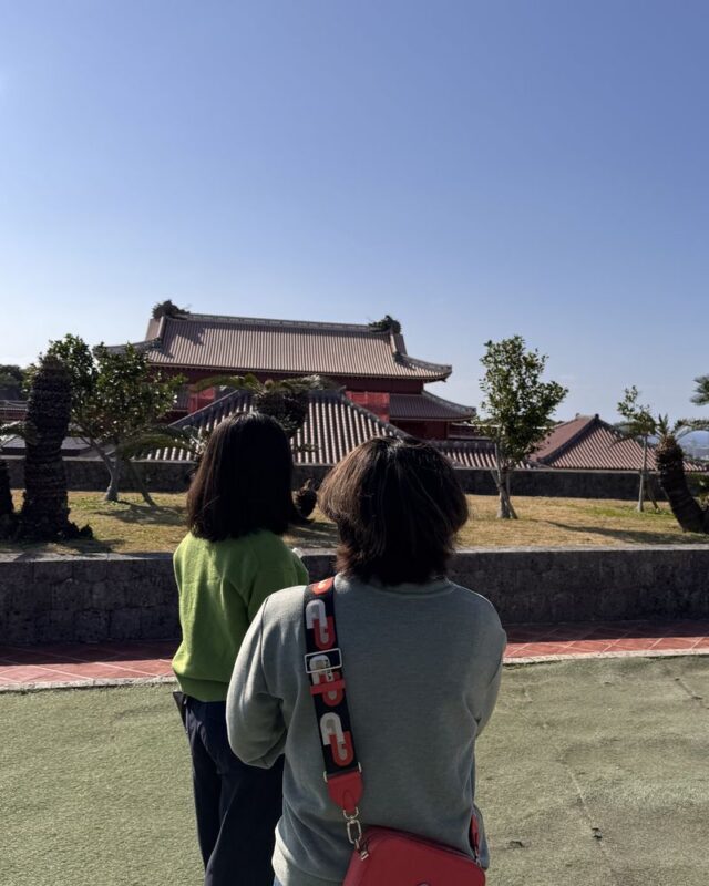 Shuri Castle UNESCO Site Half-Day Walking Tour - Is $59.15 good value?