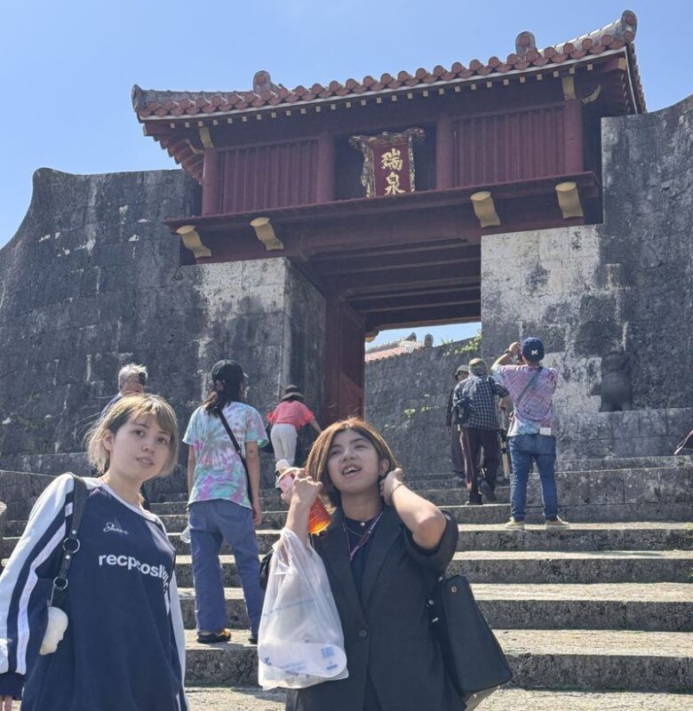 Shuri Castle UNESCO Site Half-Day Walking Tour - Who should take this Shuri Castle walk?