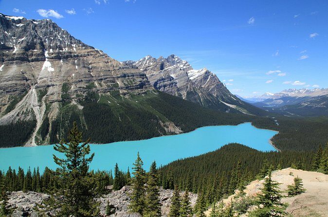 Shuttle from Calgary Canmore Banff to Columbia Icefield - The Sum Up: Is This Tour Right for You?