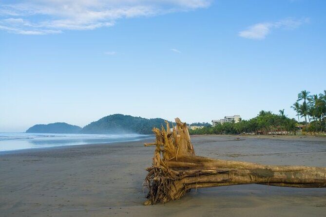 Shuttle From San Jose Airport To Jaco Beach or From Jaco Beach - Introduction to the Service and Core Features