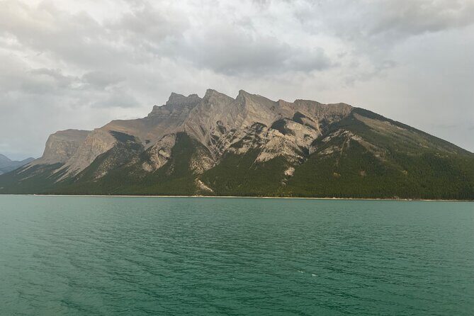 Shuttle Service and Tours - Key Points