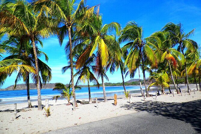 Shuttle Service From Liberia Airport To Samara and Carrillo Beach - The itinerary and experience details