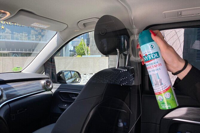 Shuttle Transfer Arrivals: Madrid Airport to City Center - Key Points