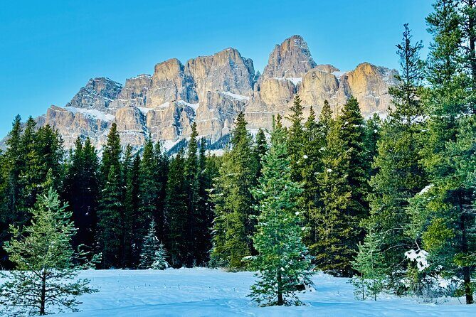 ShuttleBus 2way Banff to Lake Louise (1Hr) and Moraine Lake (1Hr) - The Sum Up: Is the Banff Lakes Shuttle Tour Worth It?
