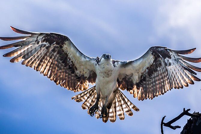 Sian Ka'an Adventure Full Day Trip to Punta Allen - The Journey Begins: From Tulum to the Biosphere