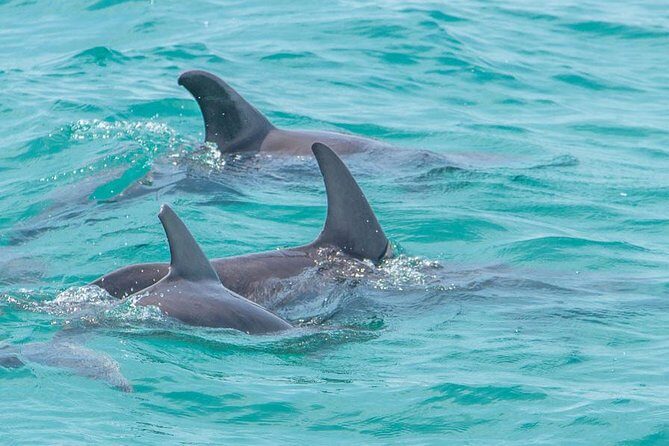 Sian Ka'an Adventure Full Day Trip to Punta Allen - The Real Experience: From the Reviews