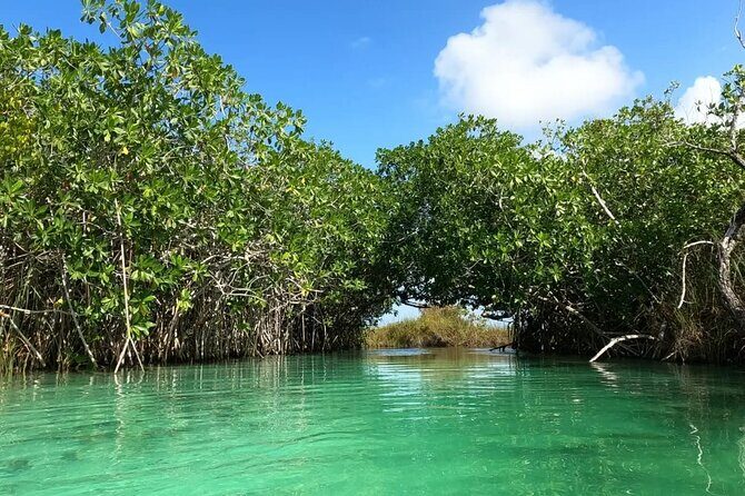 Sian Ka'an Biosphere Reserve Guided Tour - Practical Details and Considerations