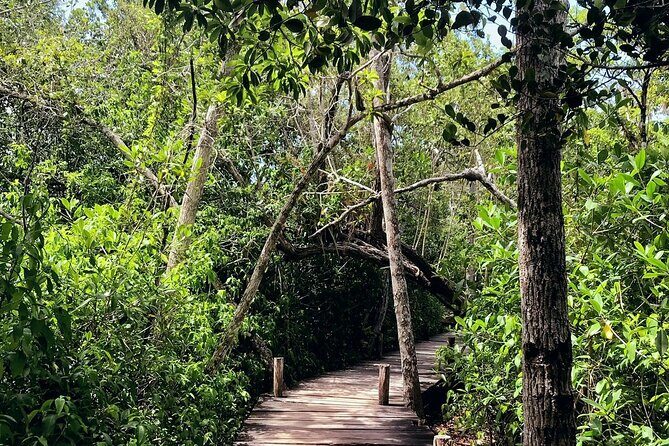 Sian Ka'an Biosphere Reserve Guided Tour - The Sum Up