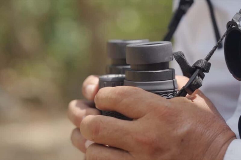 Sian Ka'an: Bird Watching & Mayan Herbal Medicine - Discover Sian Ka’an: Bird Watching & Mayan Herbal Medicine