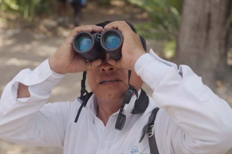 Sian Ka'an: Bird Watching & Mayan Herbal Medicine - Key Points