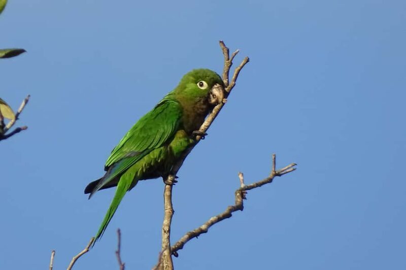 Sian Ka'an: Bird Watching & Mayan Herbal Medicine - FAQ