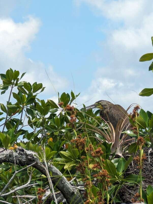 Sian Ka'an Channels and Underground River - Private Tour - The Experience: An In-Depth Look