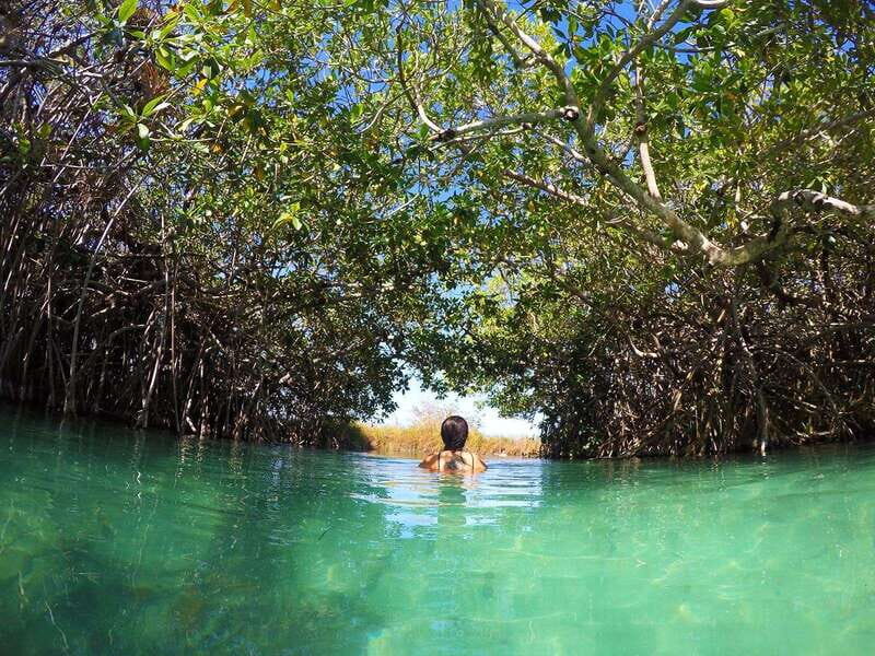 Sian Ka'an Channels and Underground River - Private Tour - Practical Tips for Your Trip