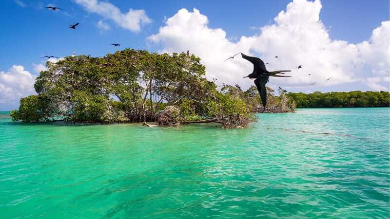 Sian Ka'an Channels and Underground River - Private Tour - FAQ