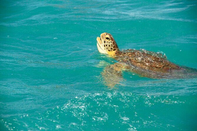 Sian Ka'an Classic - Timing and Group Size