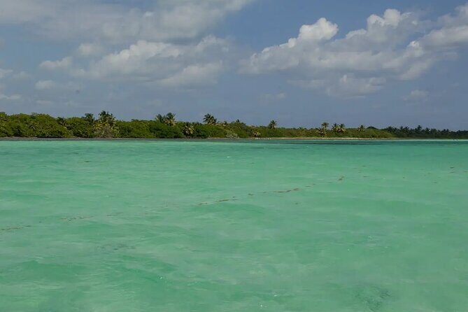 Sian Kaan Reserve Private Bike Tour - Key Points