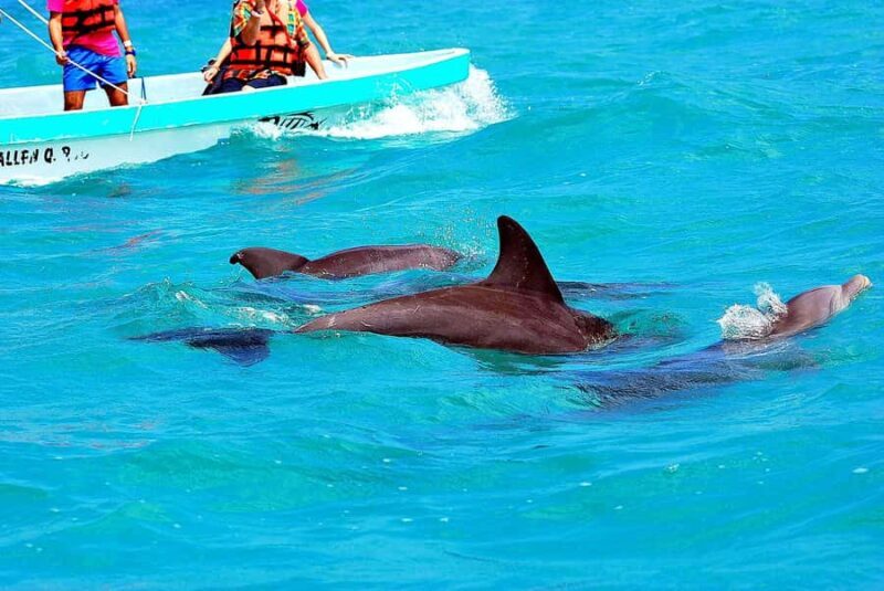 Sian Ka'an Reserve: Safari and Snorkeling Tour. - FAQ