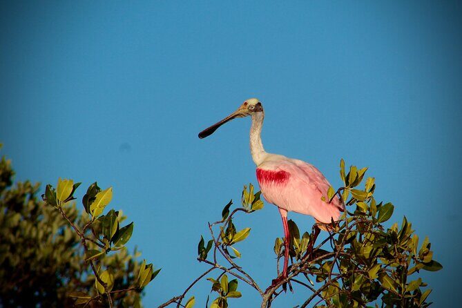 Sian Kaan Sunset Private boat. - Key Points