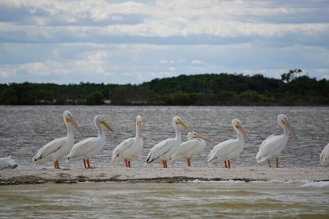 Sian Kaan Sunset Private boat. - Final Thoughts