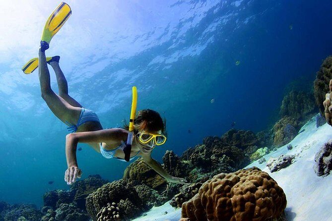 Sian Ka'an the green jewel, Biosphere Reserve Tour. Lunch & Snorkel included. - Pricing & Overall Value