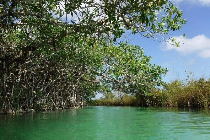 Sian Ka'an Tour (Private, Half Day) - A Closer Look at the Sian Kaan Private Tour