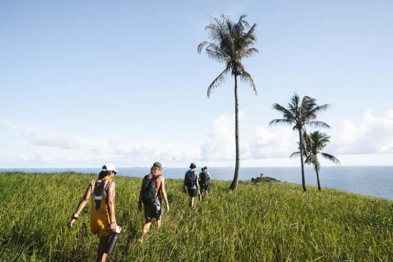 Siargao: Corregidor Islands + Tri Island Hidden Gems Tour - Exploring the Siargao Island-Hopping Experience in Detail